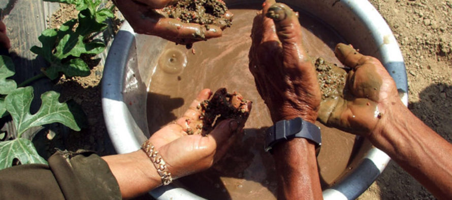 Cơ sở sản xuất phân bón giả nằm trong doanh trại quân đội