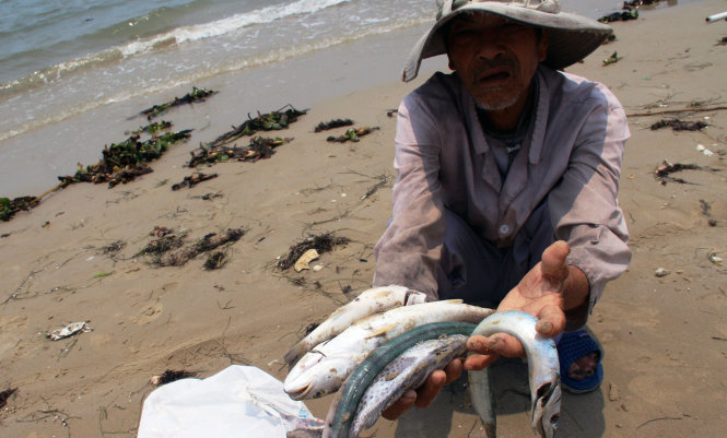  Thảm họa cá chết ảnh hưởng đến hàng trăm ngàn người tại 4 tỉnh duyên hải miền Trung. Ảnh: Internet