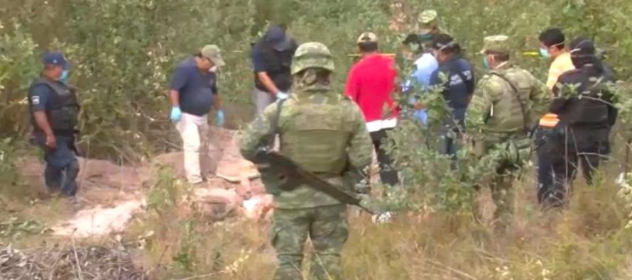 Mexico: Hàng chục thi thể chôn vùi dưới các nấm mồ bí mật
